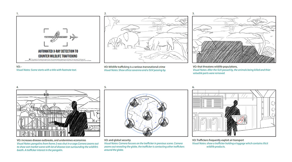 Storyboard Sketches WWF